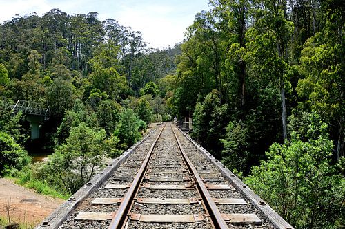 Het Walhalla Goldfields-spoor