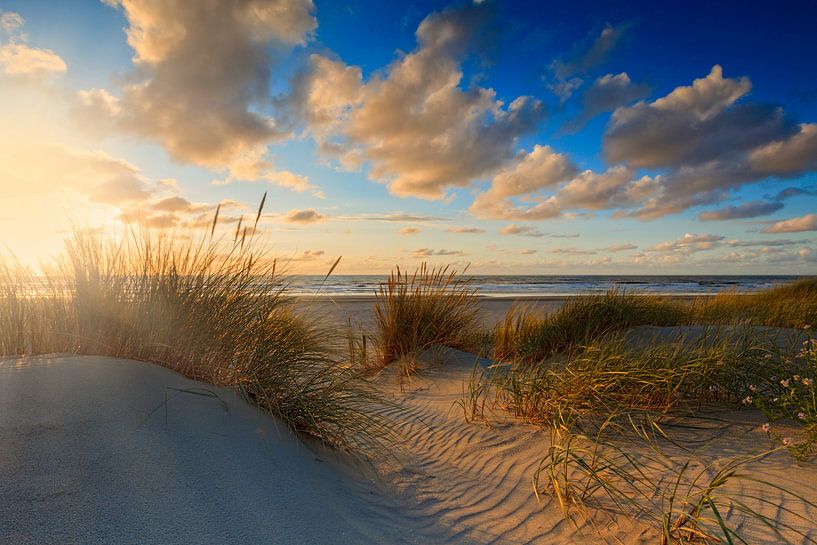 coucher de soleil derrière les dunes hollandaises par gaps photography
