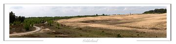 Braamberg Veluwe Nederland van Richard Wareham