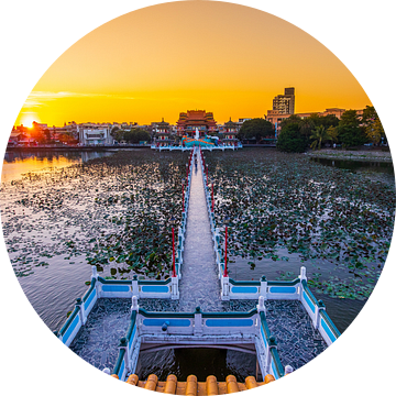 Lotus Pond (Kaohsiung) van Michel van Rossum