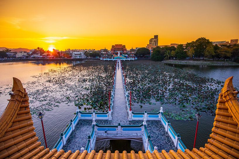 Lotus Pond (Kaohsiung) van Michel van Rossum