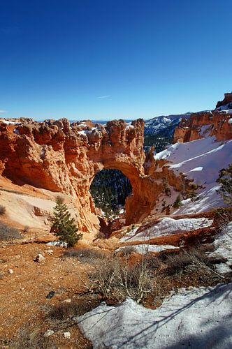 Natural Bridge Bryce Canyon, Utah, Verenigde Staten