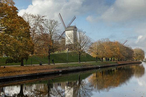 Bruges Windmills Autumn Reflections