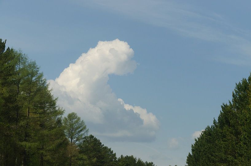cloud van Robert Lotman