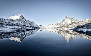 Winterlandschaft in einem Fjord auf der Insel Senja in Norwegen