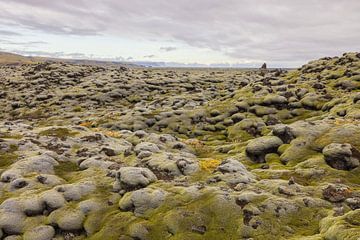 Champs de lave Eldhraun (Islande) sur Marcel Kerdijk