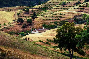Landschap Zuid Portugal van Harrie Muis