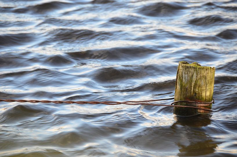 Paal in water by Martijn Alexander