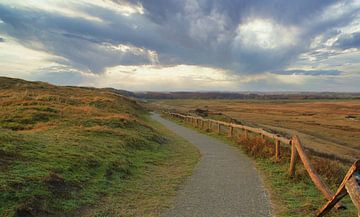 Wanderweg in der Nähe der Slufter auf Texel von Jose Lok