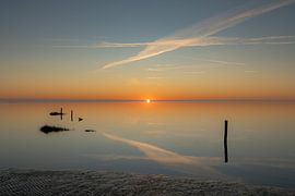 Was bleibt von Vogelvrij fotografie