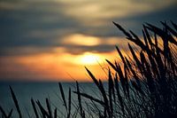 de duinen