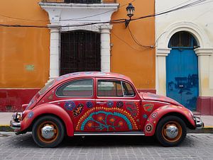Käfer in Merida