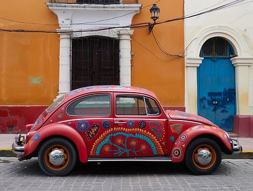 Beetle in Merida
