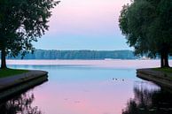 Alphen-Zegerplas-Kromme Aar van Rob IJsselstein thumbnail