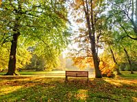 Eenzaam bankje in goudkleurig herfstpark