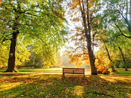 Eenzaam bankje in goudkleurig herfstpark