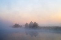 Morning mist