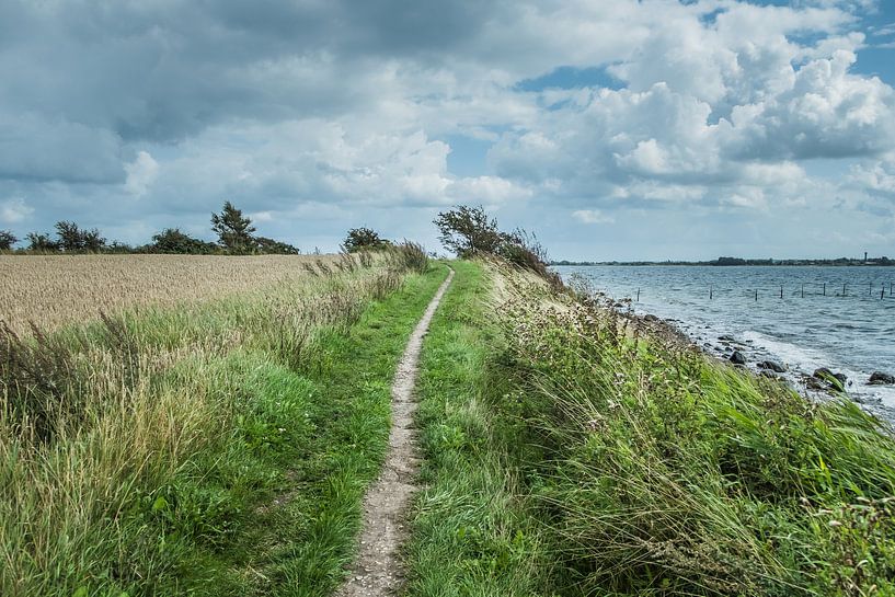 Kustpad van ina van zandwijk