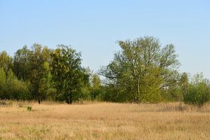 Landschaft in der Sonne