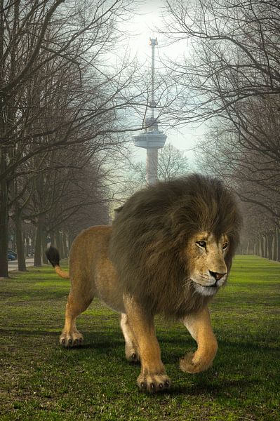 Urban Wild II
