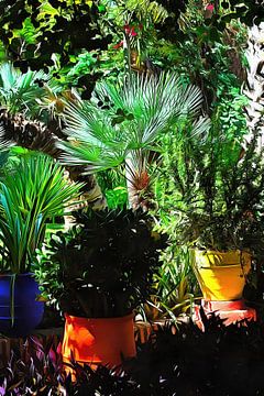 Pots à plantes colorés Marrakech 6 sur Dorothy Berry-Lound