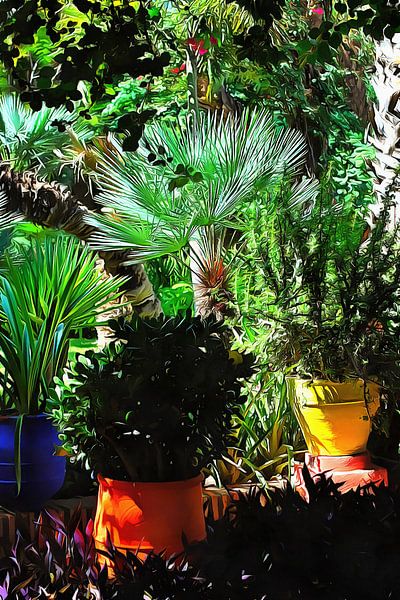 Colorful Plant Pots Marrakech 6 by Dorothy Berry-Lound