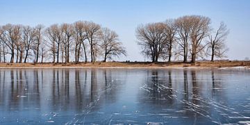 Winterse Ooijpolder