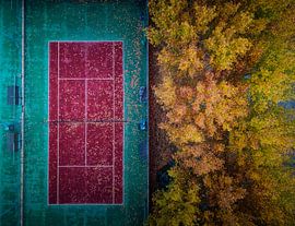 Die Herbstinvasion von Josema Martin Espinar