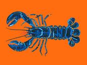 Lobster On Orange by Alice Straker thumbnail