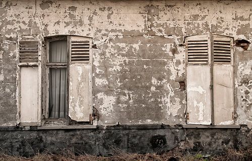 Windows in decay
