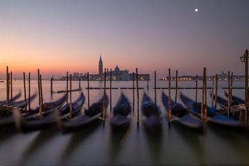 Venetië - Gondels op het San Marcoplein bij zonsopgang