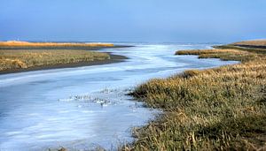 Marais salé dans la mer des Wadden 5 sur Bo Scheeringa Photography