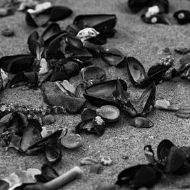 Oostende, België van Jan Van Bizar