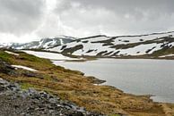 Bergen in Noorwegen von Margreet Frowijn Miniaturansicht