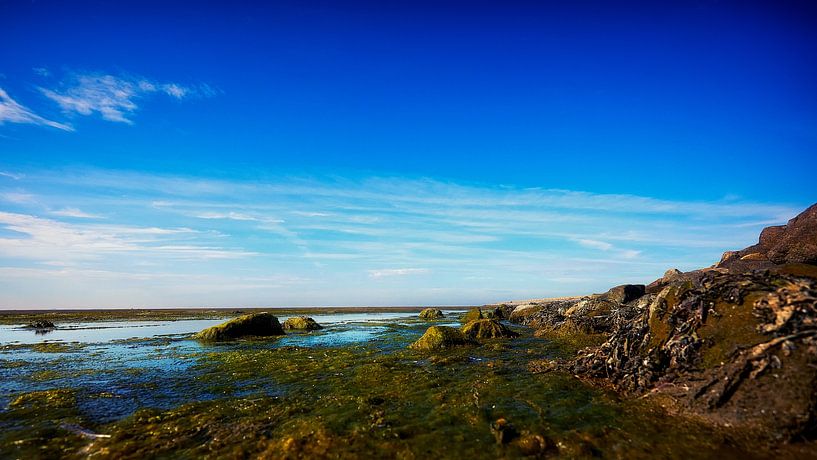Ameland Das Wattenmeer von Martin Weijmer