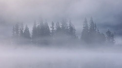 Brouillard ascendant | Prebersee | Autriche sur Bastiaan Stolk