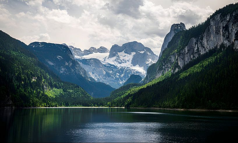 Landscape by Salsa art