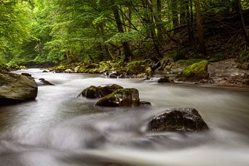 Het Schwarzatal in Thüringen van Roland Brack