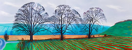 Velden onder de winter van Chromapetal