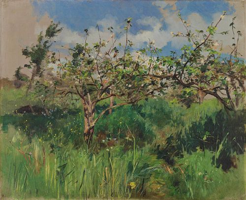 António Carvalho de Silva Porto~Appel in bloem