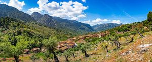 Fornalutx-Panorama der Sierra de Tramuntana auf Mallorca, Spanien