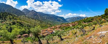 Fornalutx panorama van de Sierra de Tramuntana op Mallorca, Spanje van Alex Winter