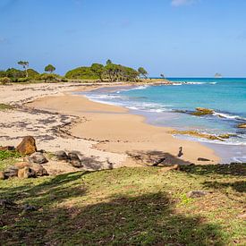 Plage de sable au bord de la mer des Caraïbes, Pointe Allègre, Sainte Rose Guadeloupe sur Fotos by Jan Wehnert