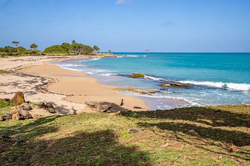 Plage de sable au bord de la mer des Caraïbes, Pointe Allègre, Sainte Rose Guadeloupe sur Fotos by Jan Wehnert