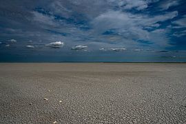 Balance in Landscape by Eric van Schaijk