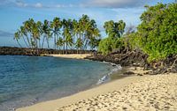 Paradijselijk strand op Hawaii van Reis Genie thumbnail