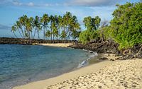 Paradisiacal beach in Hawaii