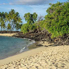 Paradijselijk strand op Hawaii van Reis Genie