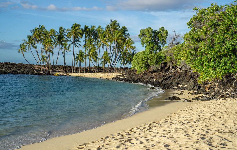 Paradijselijk strand op Hawaii van Reis Genie