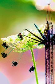 Bloemkermis – Dromen in Beweging van Frans Van der Kuil